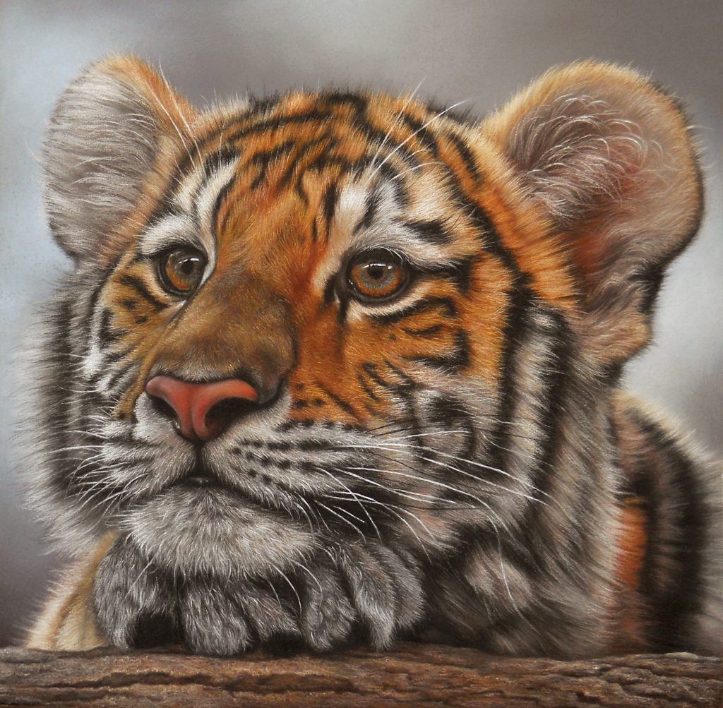 PT_VOL_34_Wildart_Natalia_Suárez